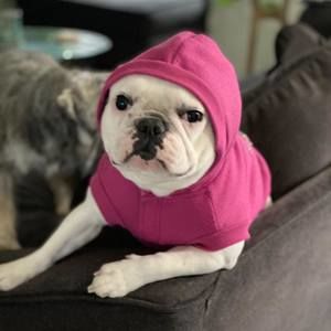 Meet your Posher, Alberta